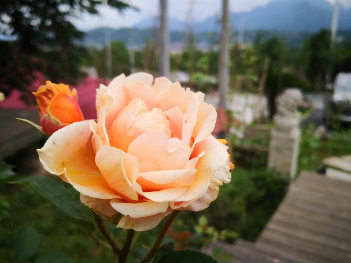 Dao Bian Inn จางเจียเจี้ย ภายนอก รูปภาพ